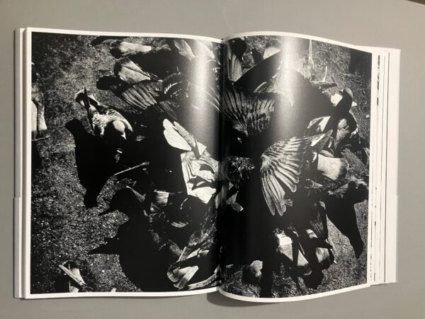 Light and Shadow - Daido Moriyama - Image 21