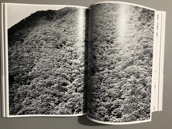 Light and Shadow - Daido Moriyama - Image 18