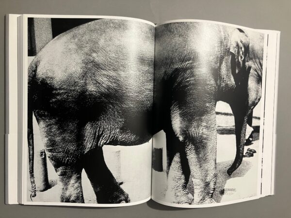 Light and Shadow - Daido Moriyama - Image 16