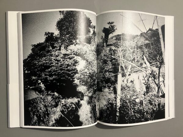 Light and Shadow - Daido Moriyama - Image 15