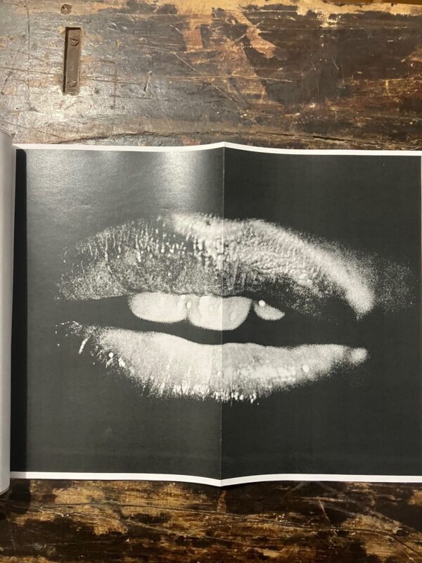 LIPS LIPS LIPS Daido Moriyama - Image 12