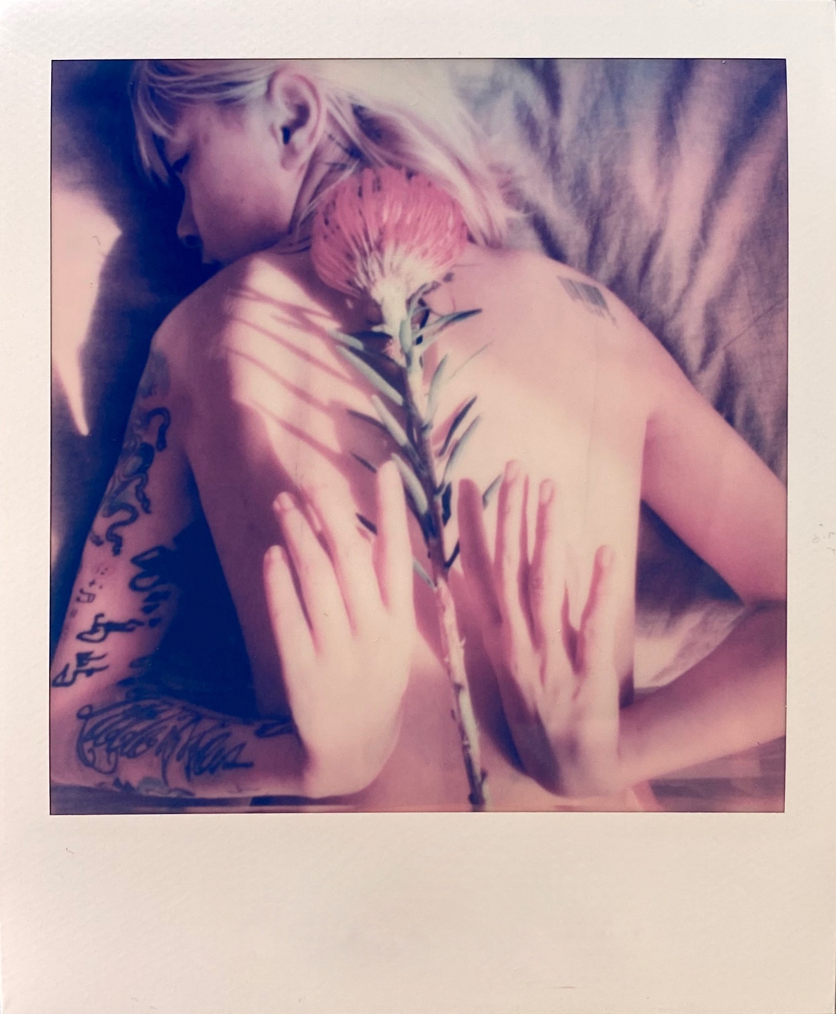 223-POLAROID_IMG_2639