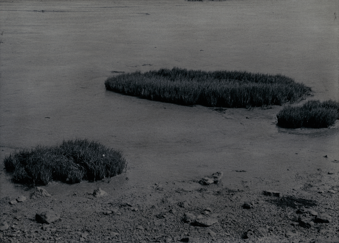 Divagation_vendeenne_04