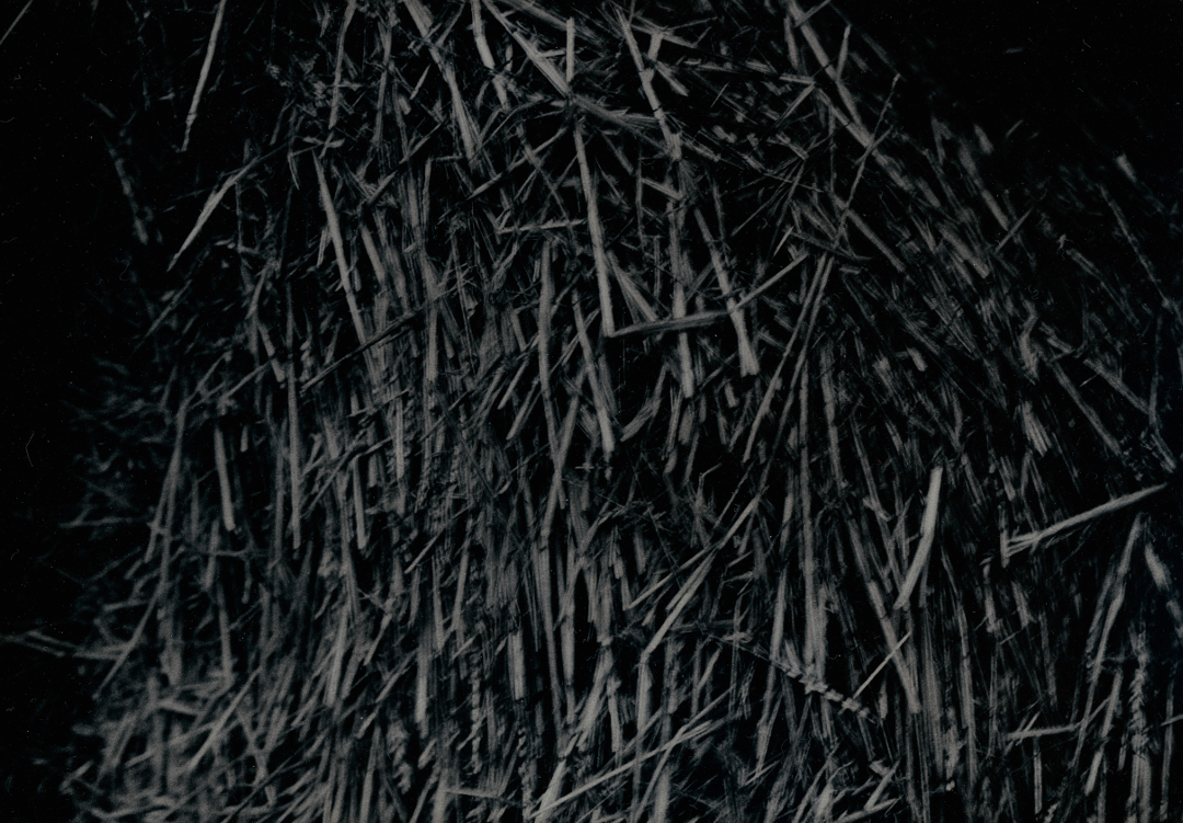 Divagation_vendeenne_07