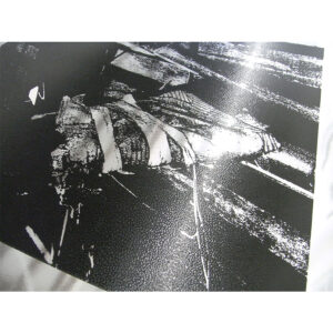 VOL 21 Fujita-Sérigraphie-002b