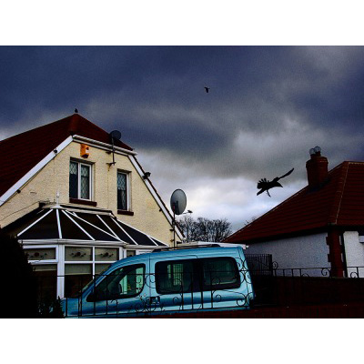 VOL 14 HiroTanaka_DewDewDewIts_4