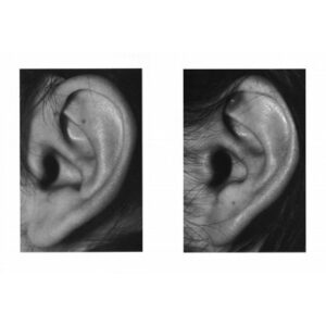 VOL 14 JunFUJIYASU_Twins_2