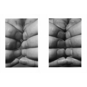 VOL 14 JunFUJIYASU_Twins_5