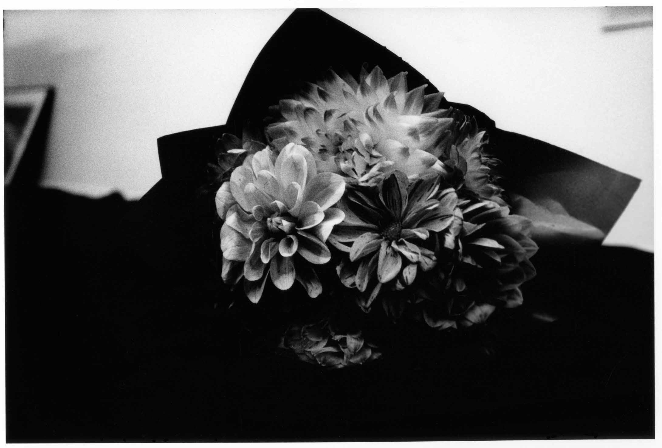 KURAMA_01-5761-21-rotated