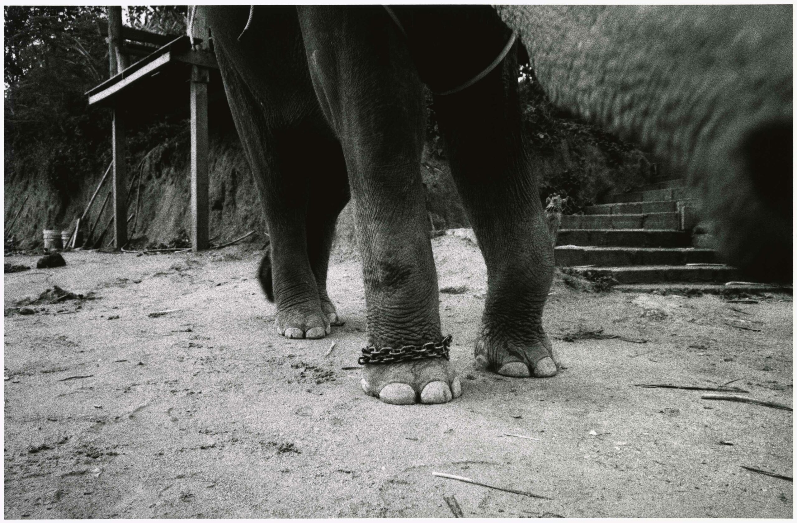 KURAMA_1706_8-9-scaled