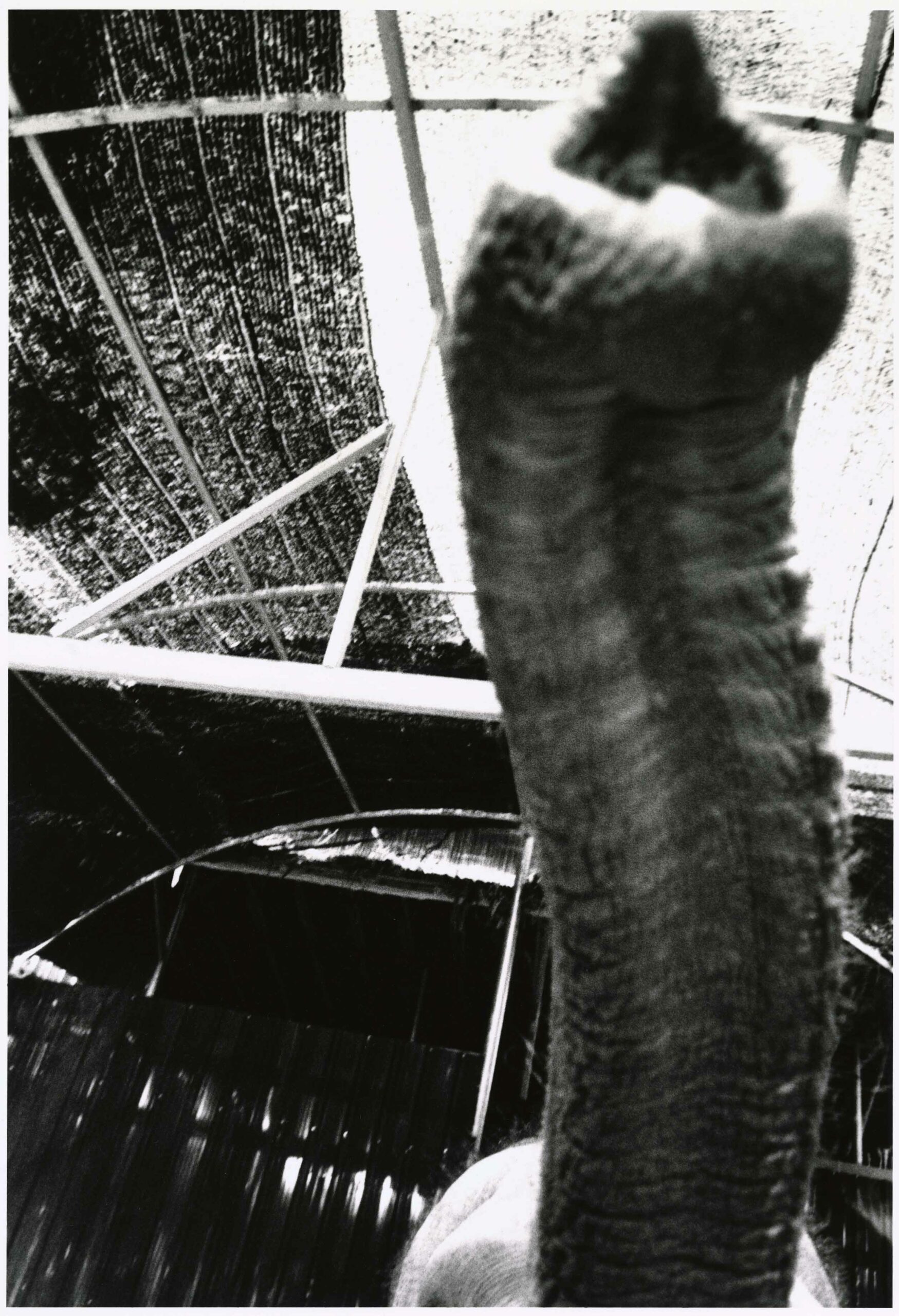 KURAMA_2751_7A-scaled