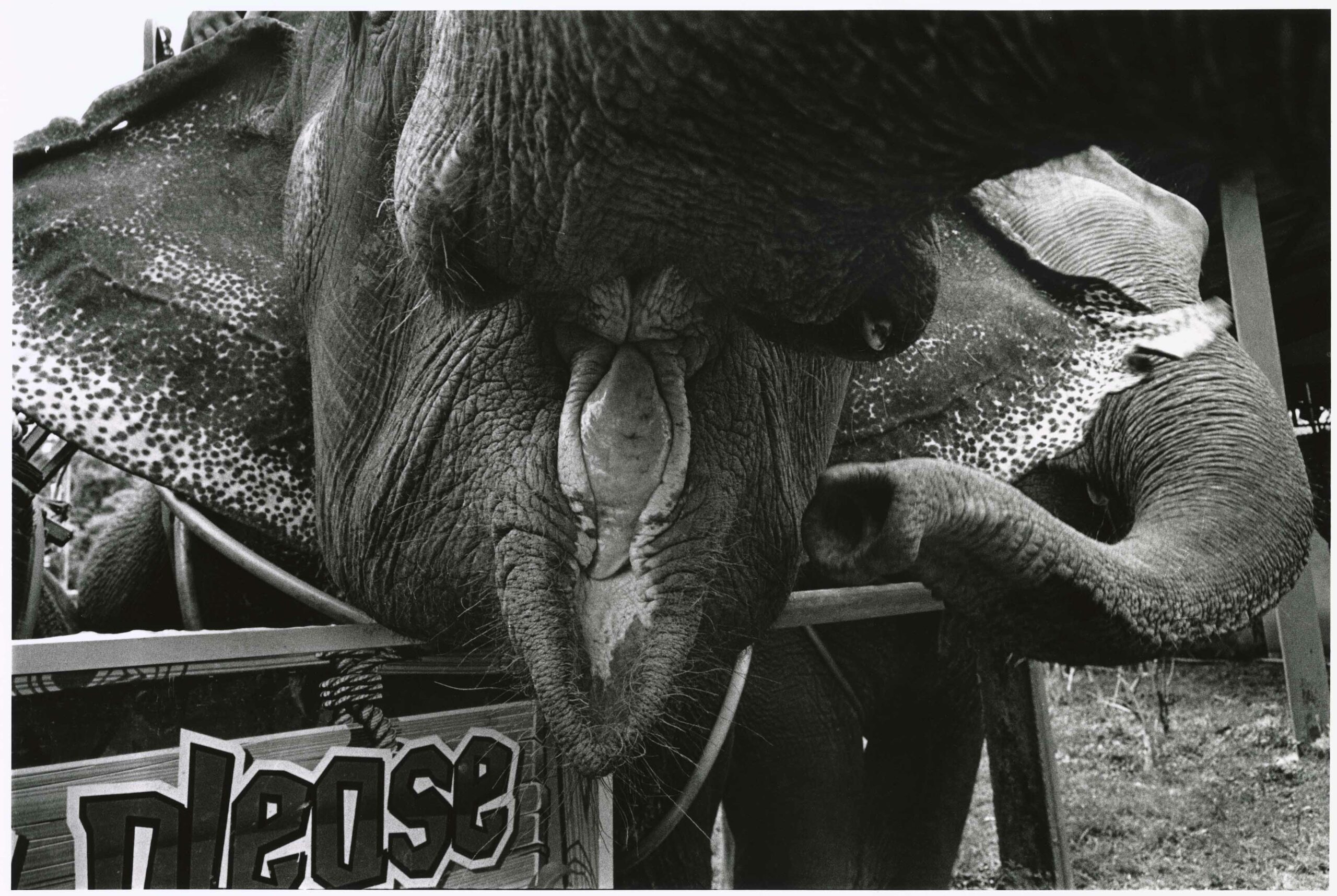 KURAMA_5378_31-scaled