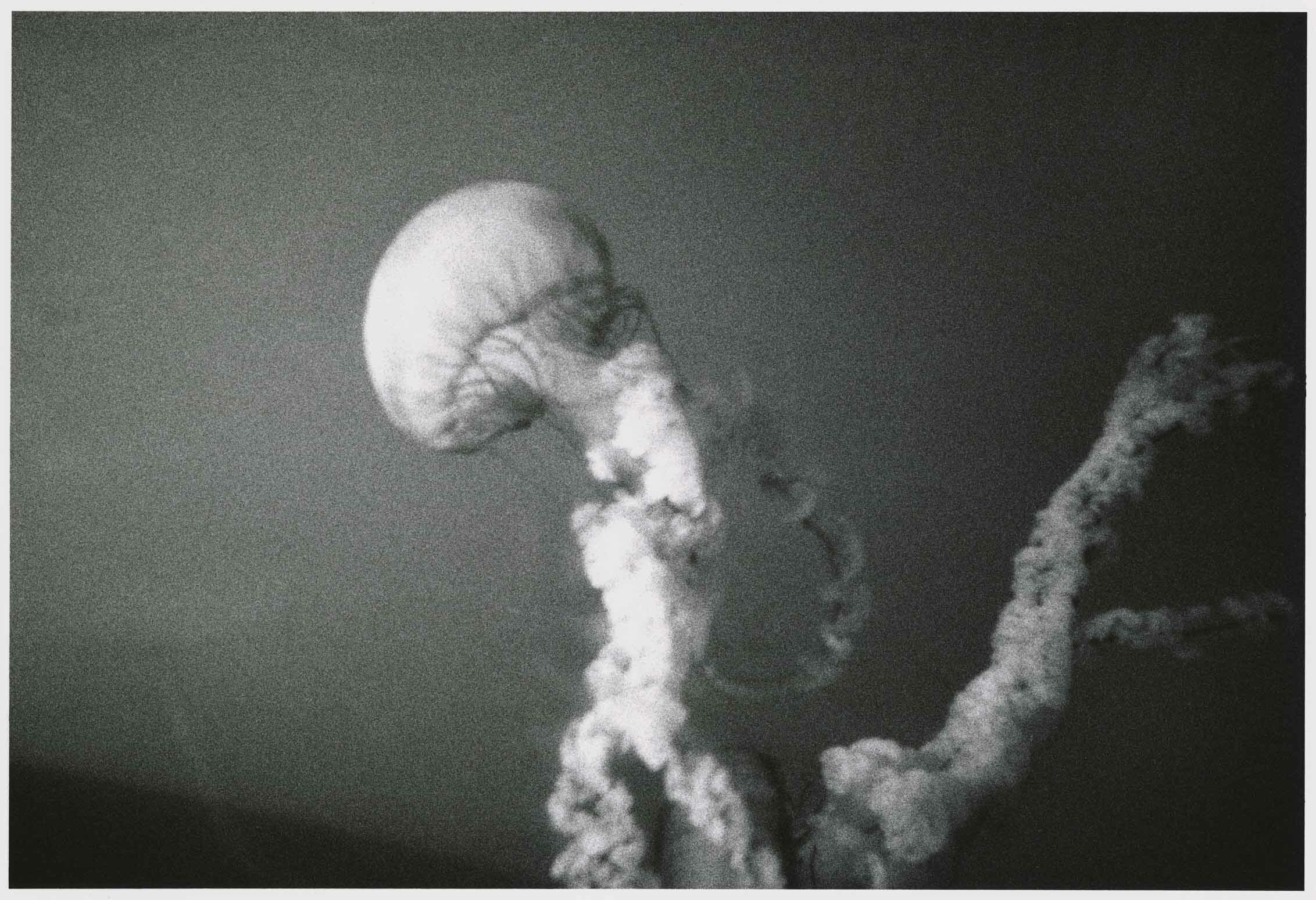 KURAMA_5598_13-rotated