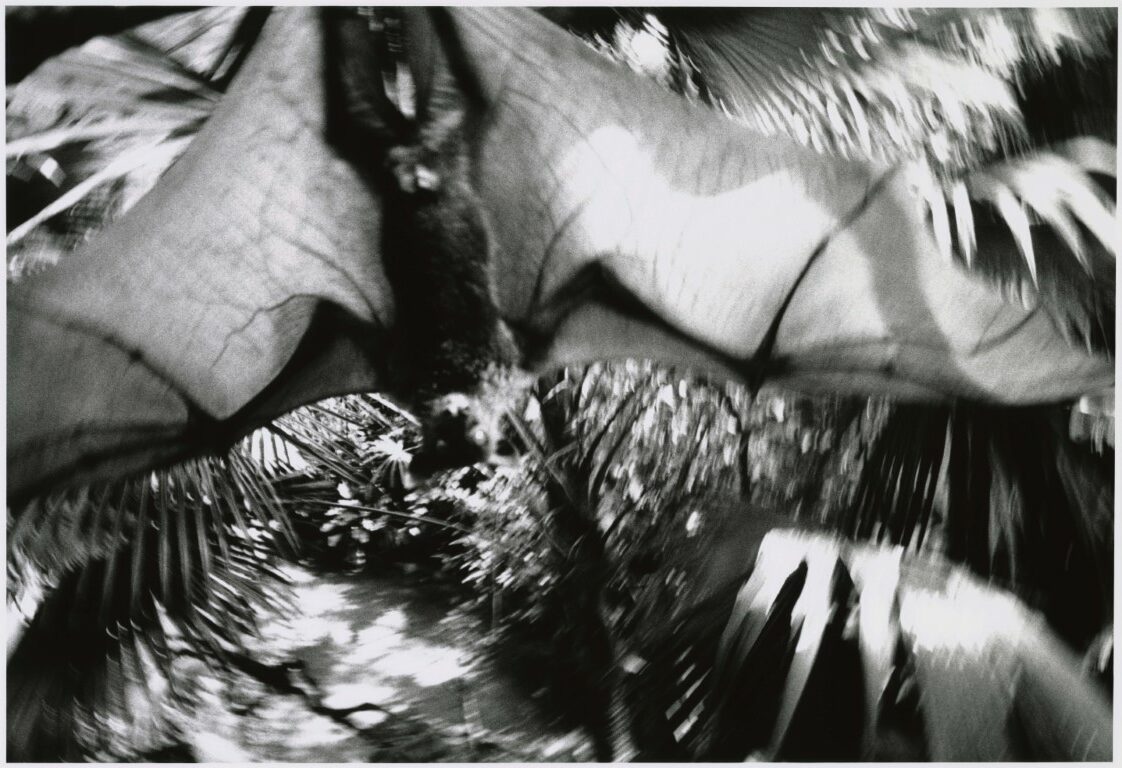 KURAMA_5661_19-rotated