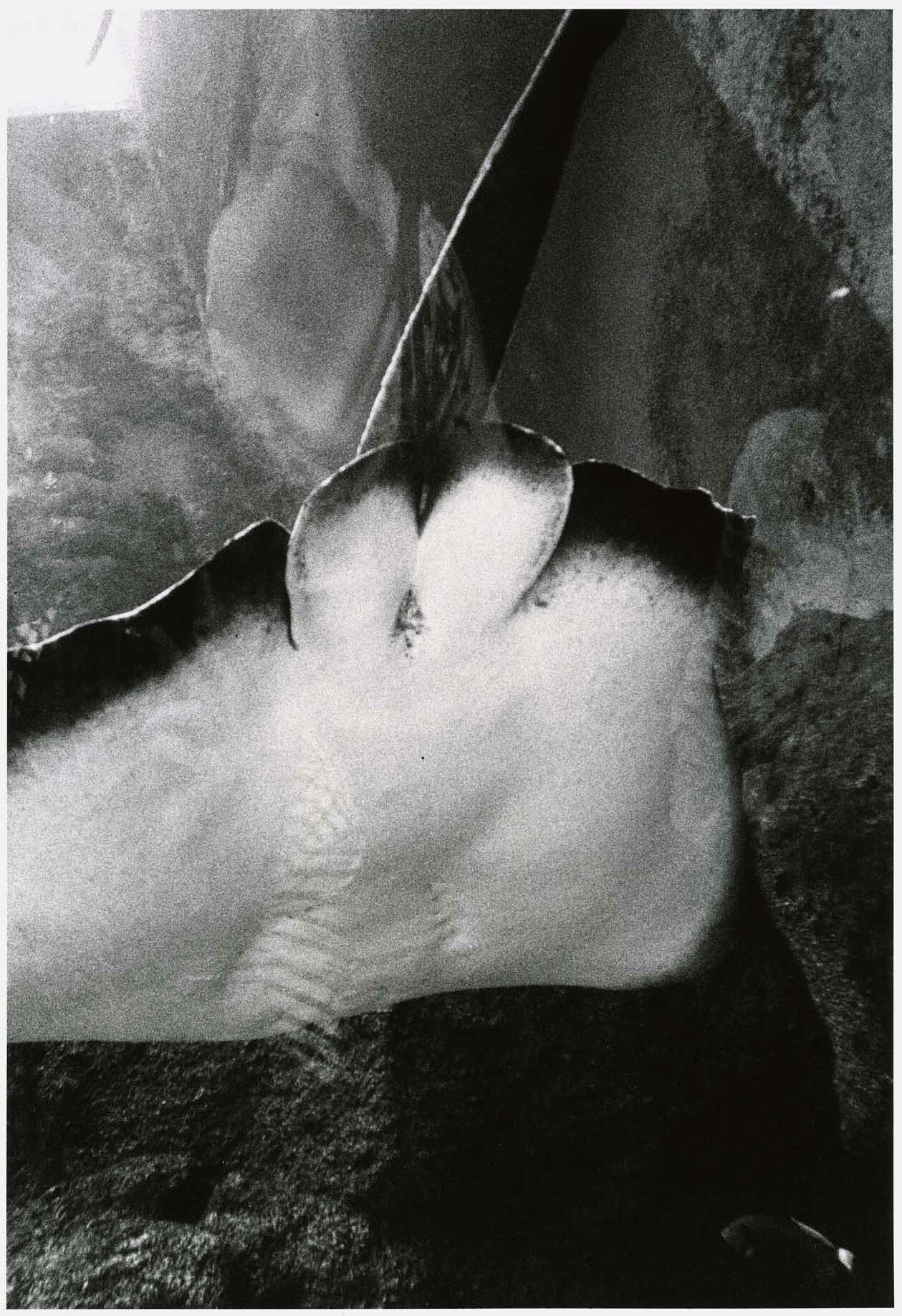 KURAMA_5697_04-rotated