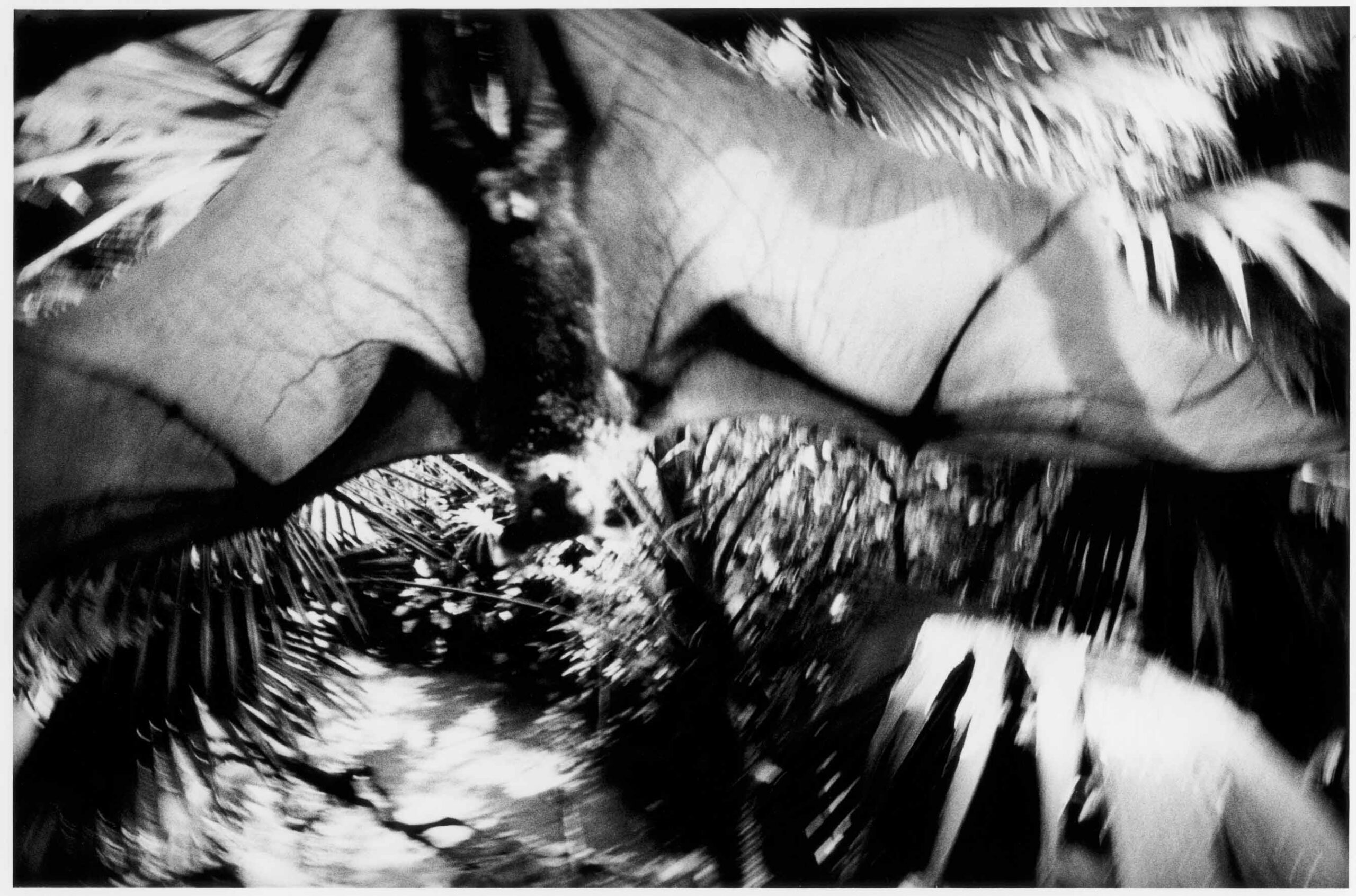 KURAMA_75-5661-019-scaled