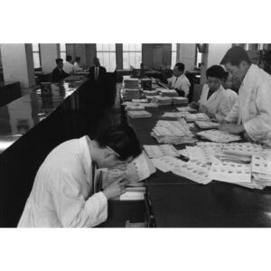 VOL-18 YW-Stakeout-039