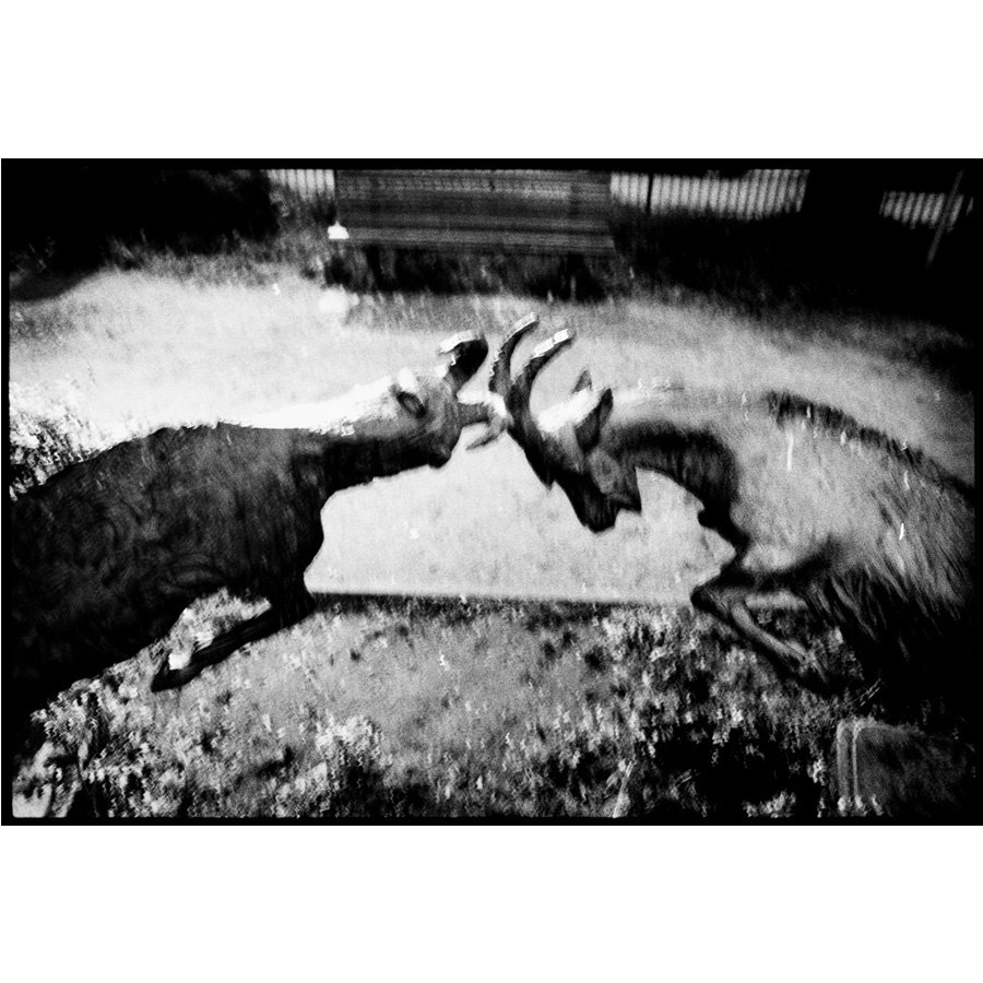 VOL-17-CHARPENTIER_4