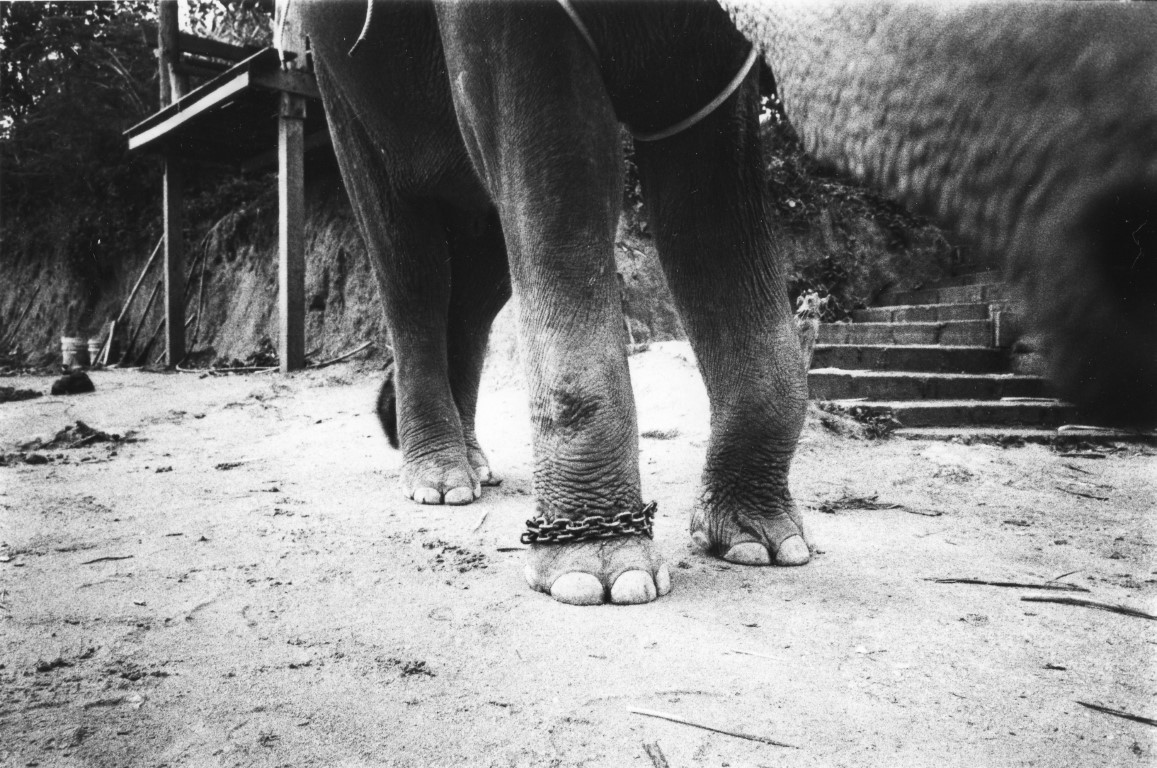 024VOL-23-KURAMA ZOSAN-KURAMA-010_1706-005-024