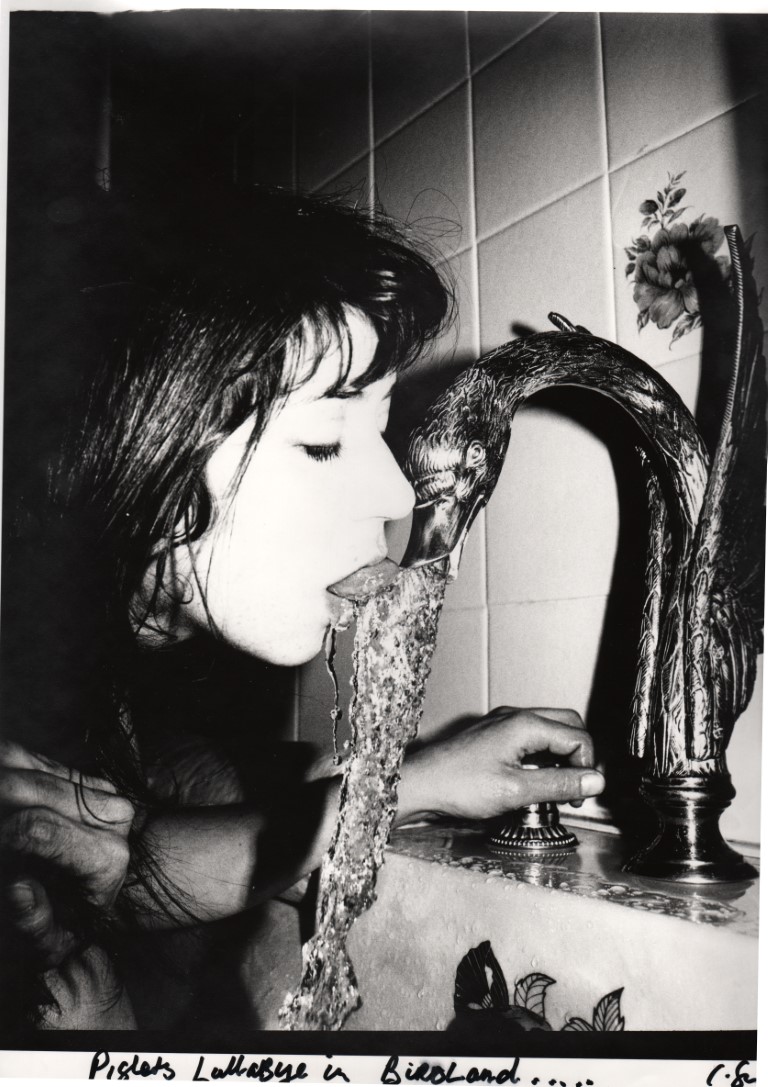 C SHAW NIGHT P VOL-33 11 3of15x the piglets lullabye in birdland