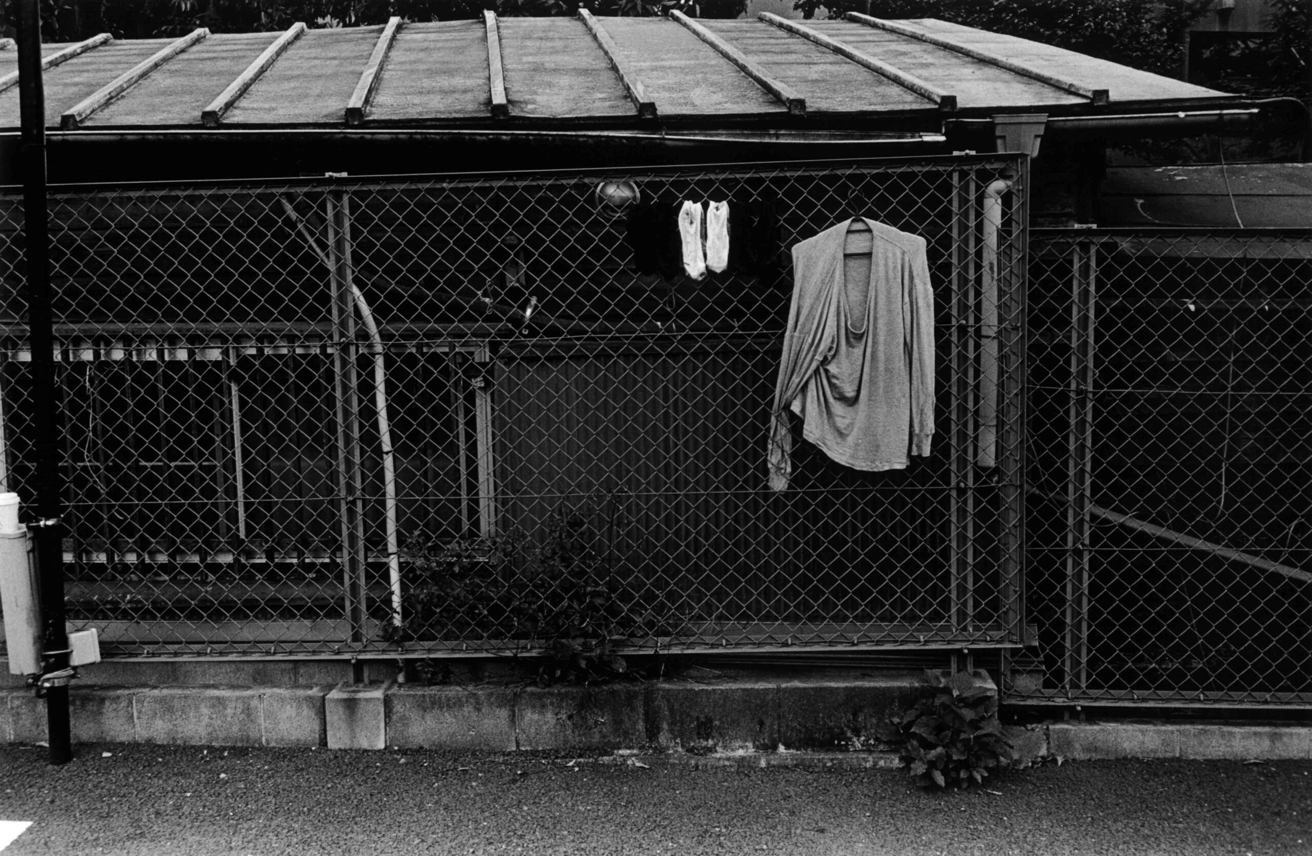 FUJIWARA-BHD-VOL31-VOL-12-06