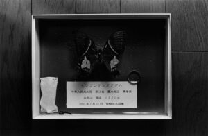 FUJIWARA-BHD-VOL31-VOL-12-17