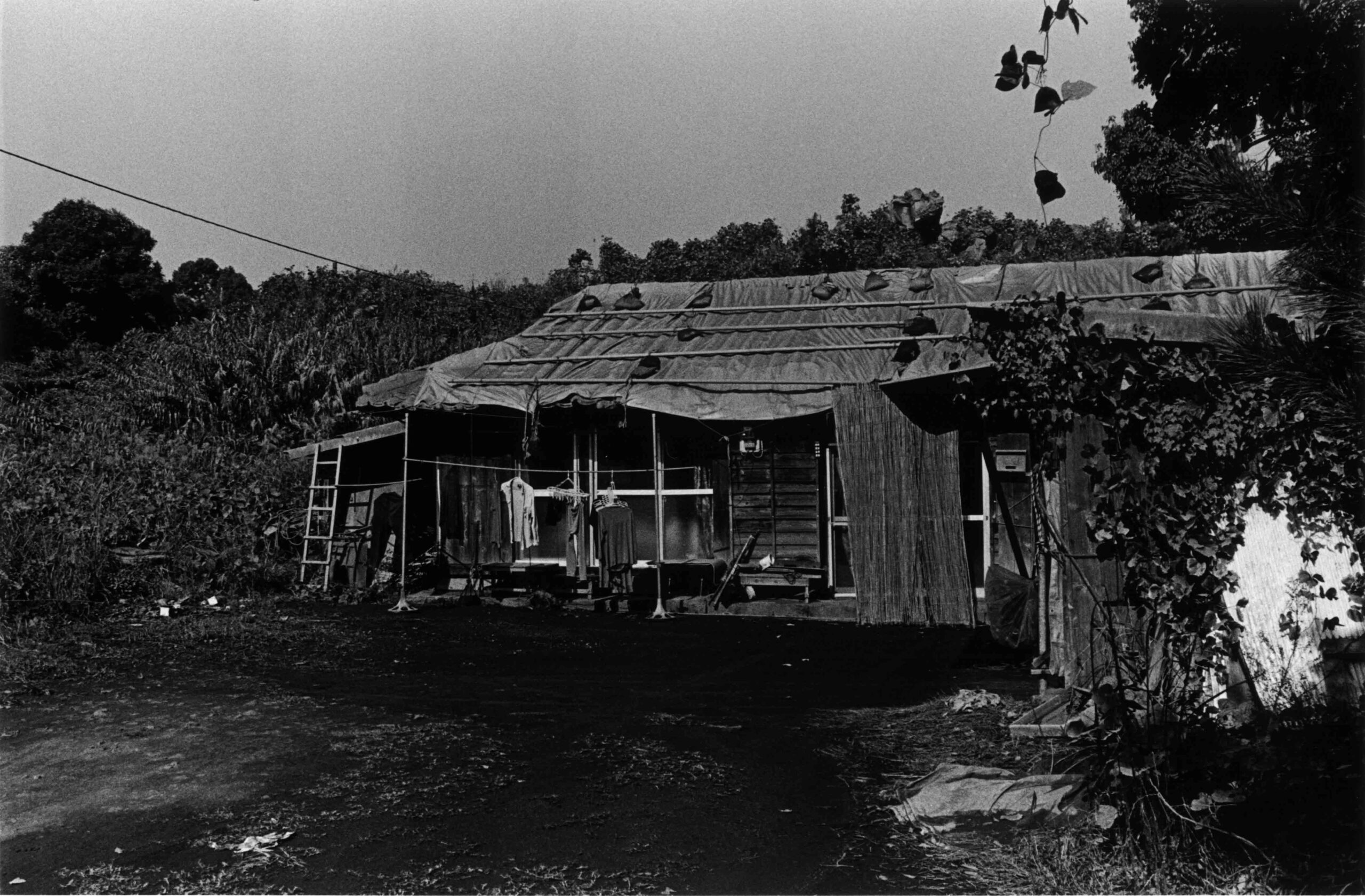 FUJIWARA-NANGOKUSHO-VOL31-VOL-1-03