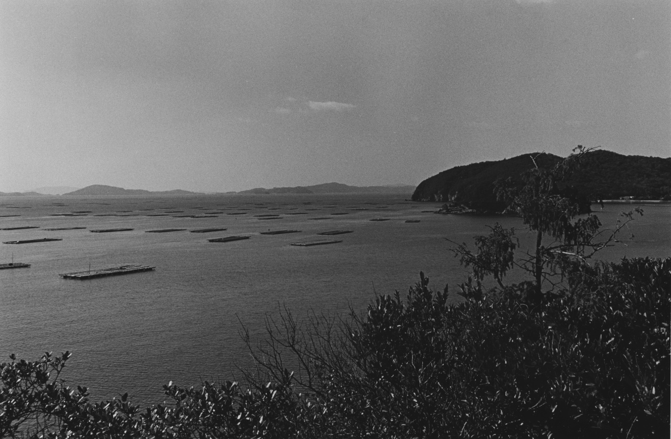 FUJIWARA-POETISLAND-VOL31-03