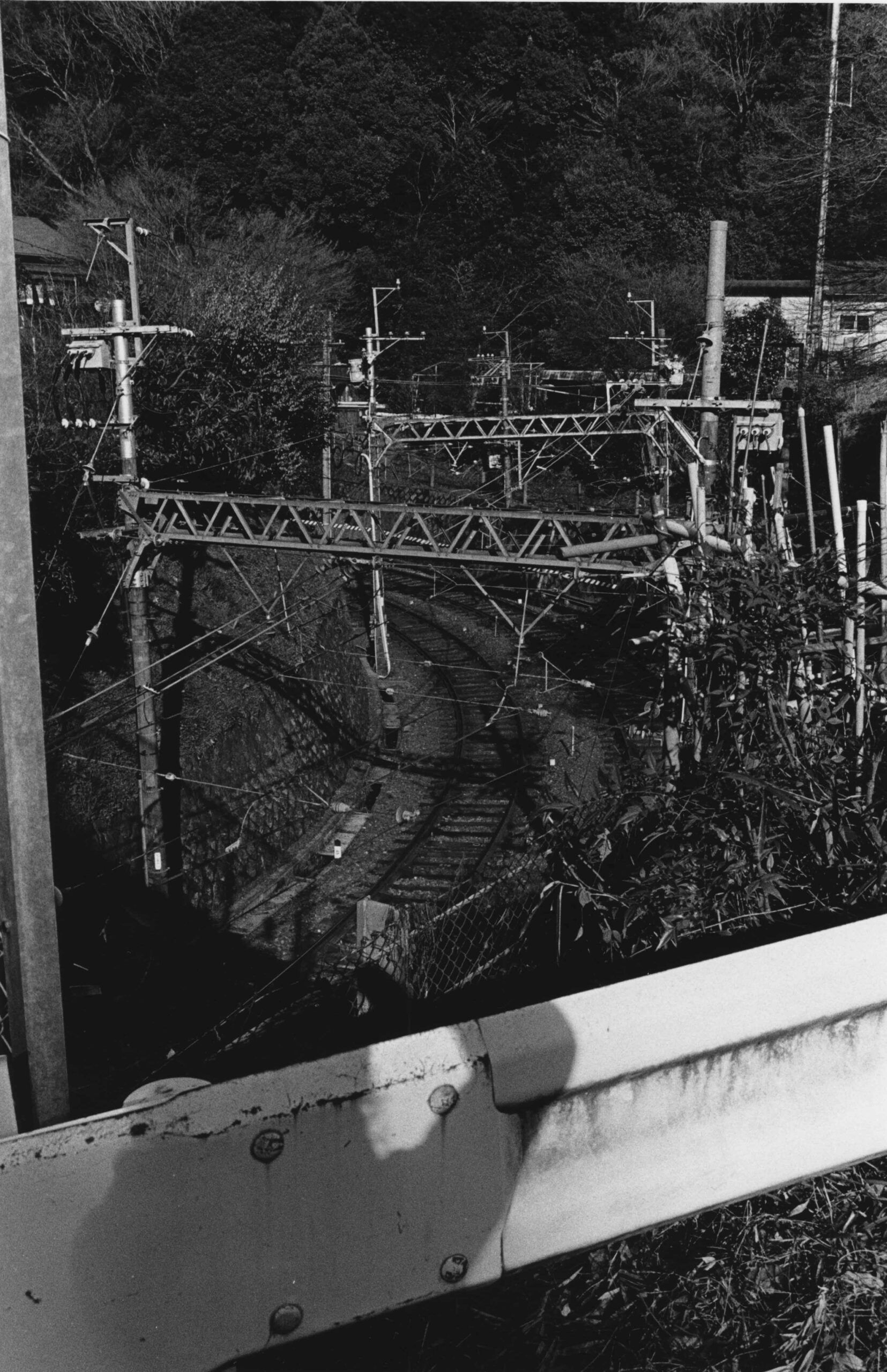 FUJIWARA-SEMIMARU-VOL31-03