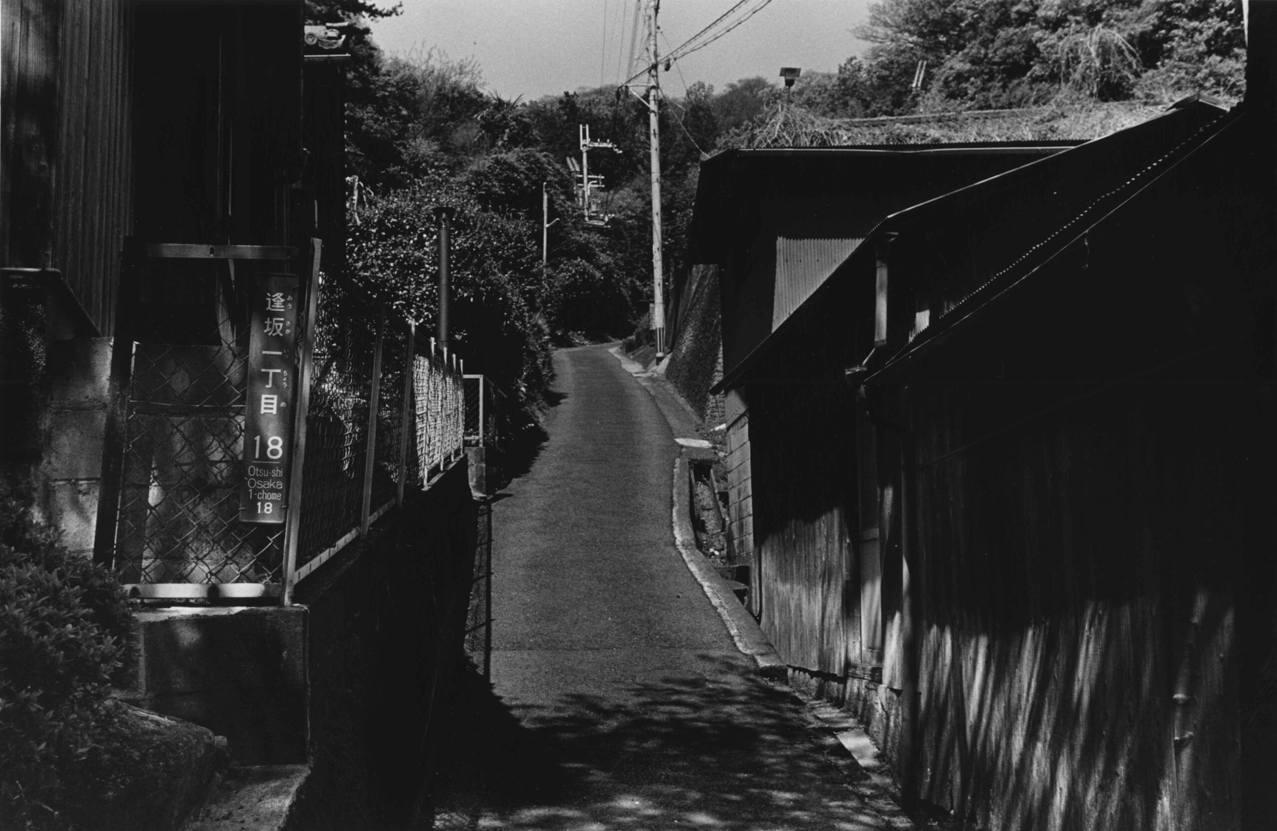 FUJIWARA-SEMIMARU-VOL31-05