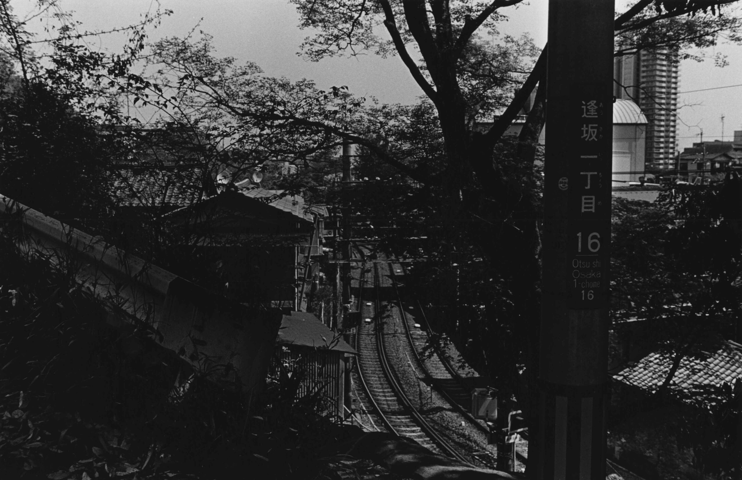 FUJIWARA-SEMIMARU-VOL31-06