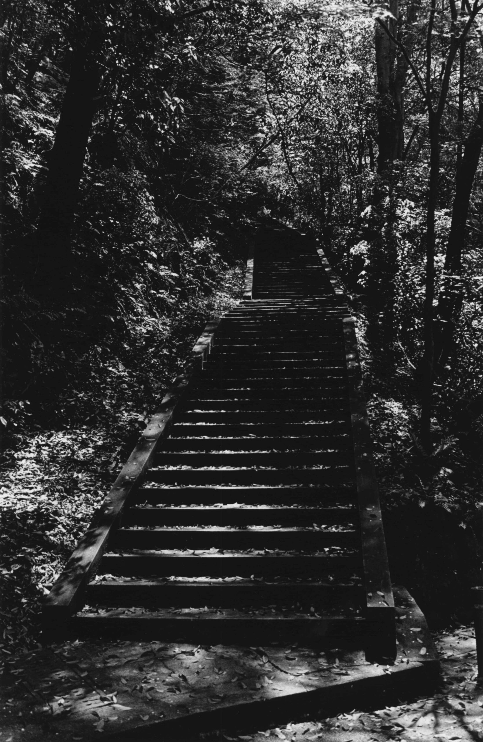 FUJIWARA-SEMIMARU-VOL31-07