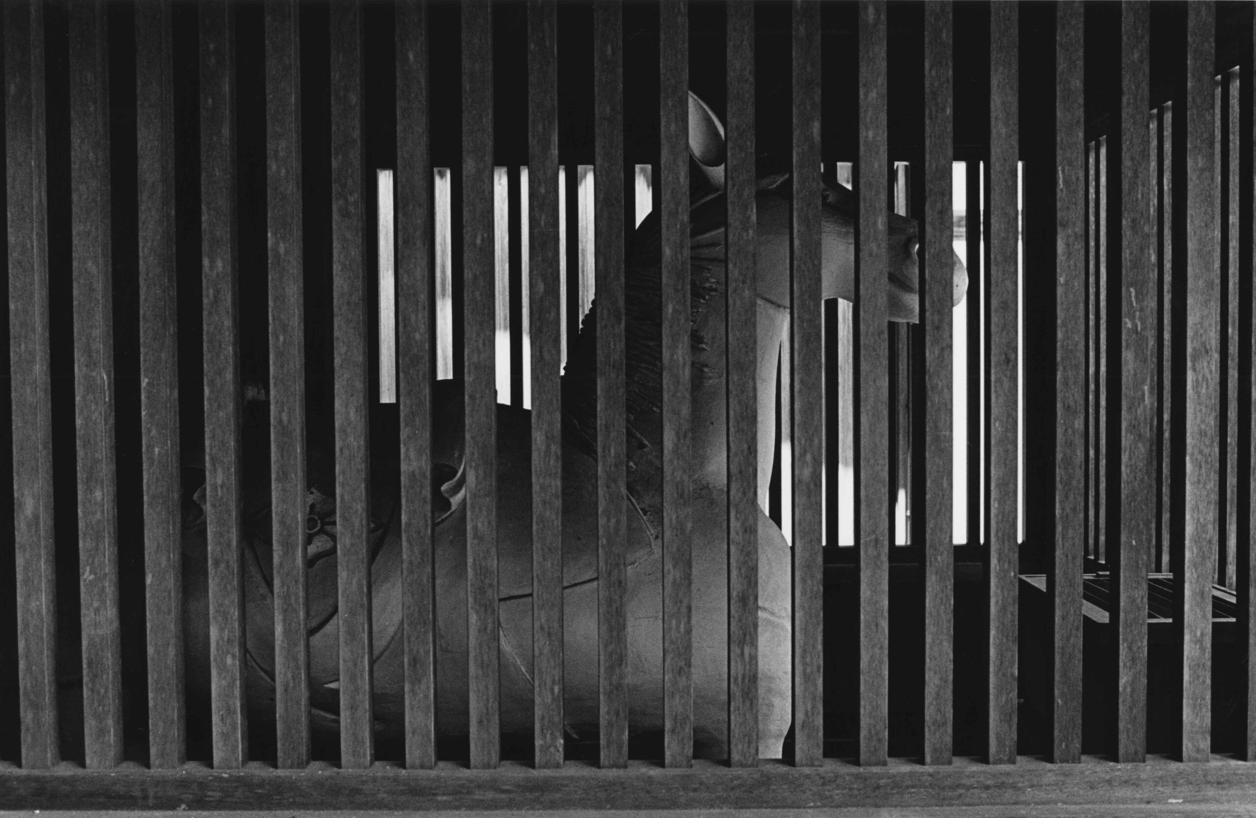 FUJIWARA-SEMIMARU-VOL31-09