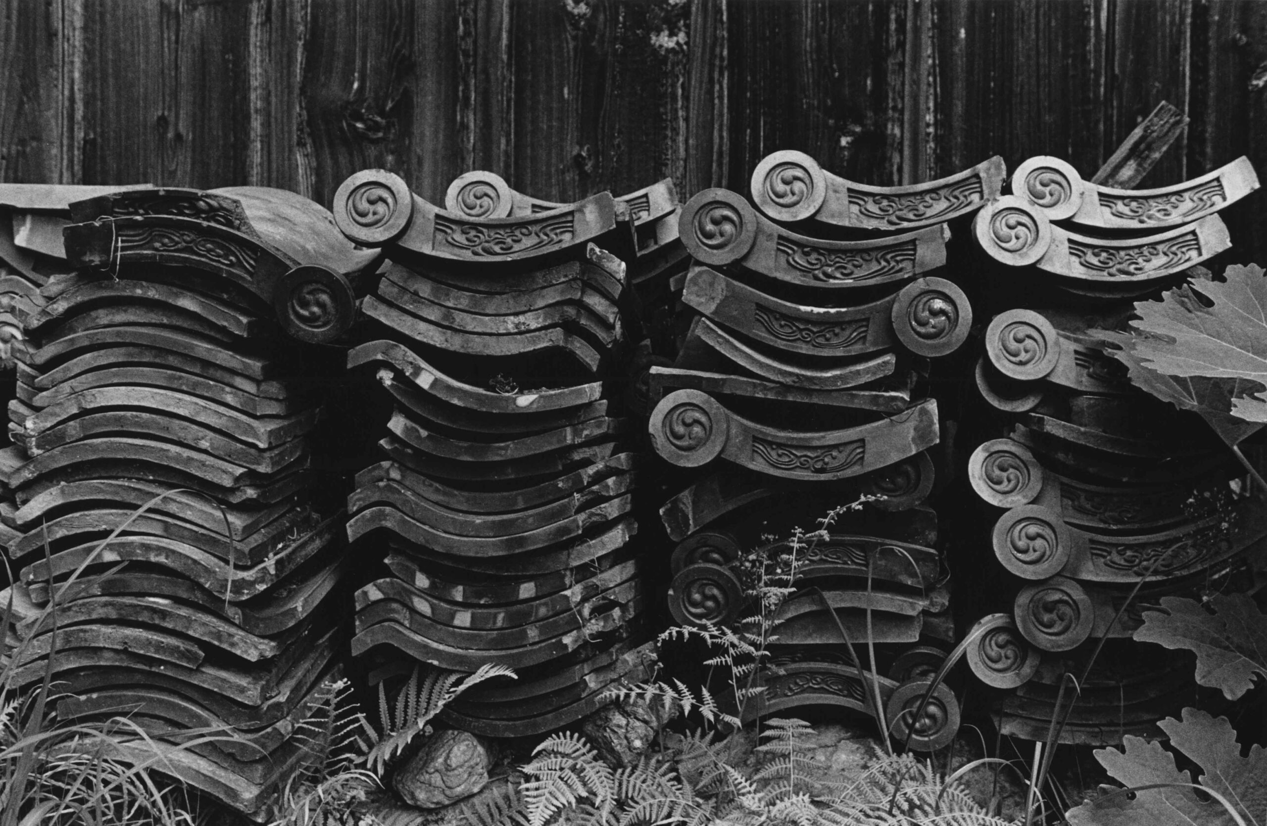 FUJIWARA-SEMIMARU-VOL31-12