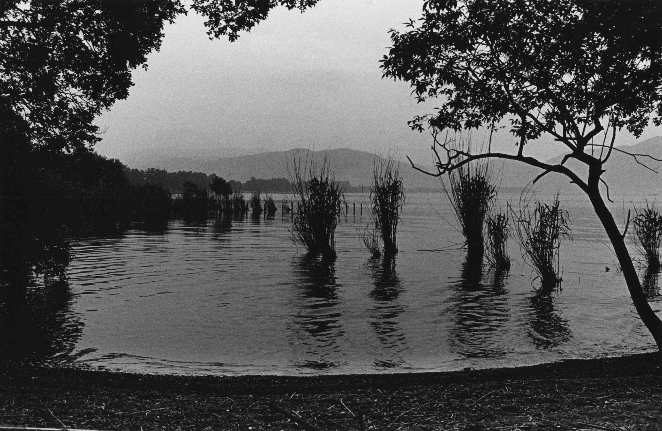 FUJIWARA-SEMIMARU-VOL31-13