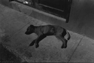 OFF REC VOL 7 KOTARO-002