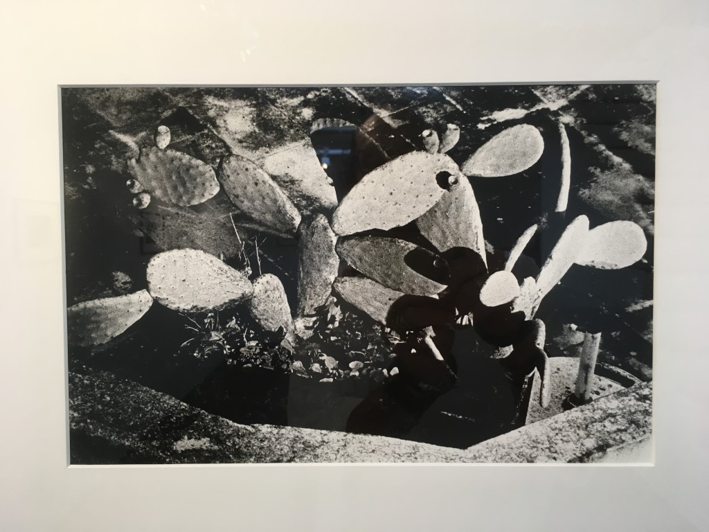 OFF REC VOL 7 KOTARO-favorite-kotaro-luigi-1 (Medium)