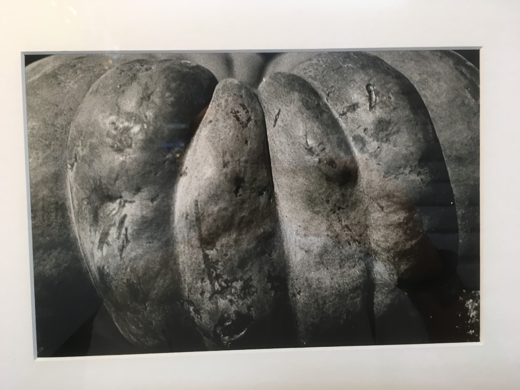 OFF REC VOL 7 KOTARO-favorite-kotaro-luigi-3