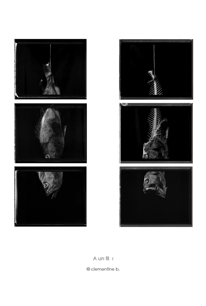 OFF REC VOL DIAMANTINO--1267-A un fil I-003