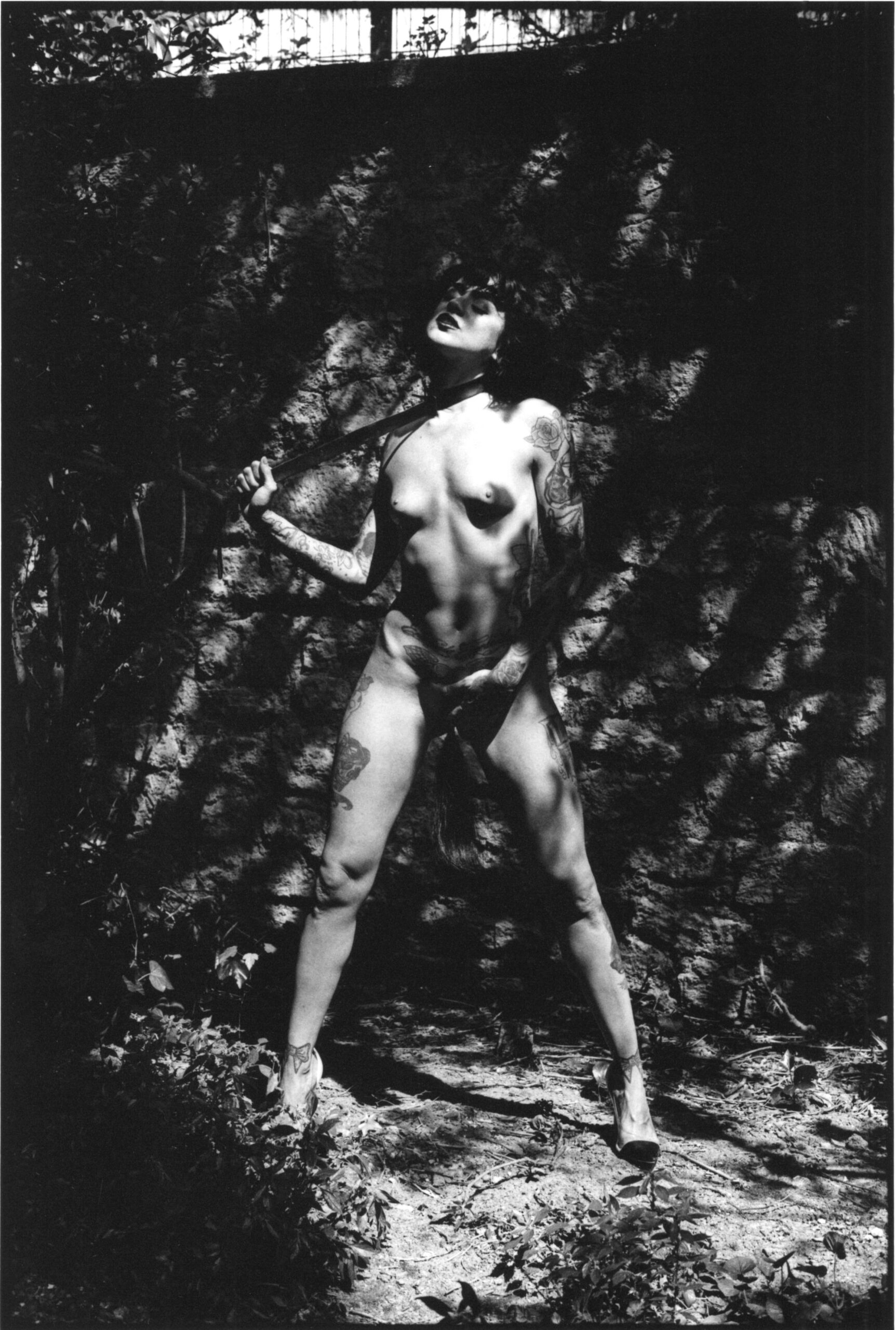 OFF REC VOL DIAMANTINO--CC1 37x50-004