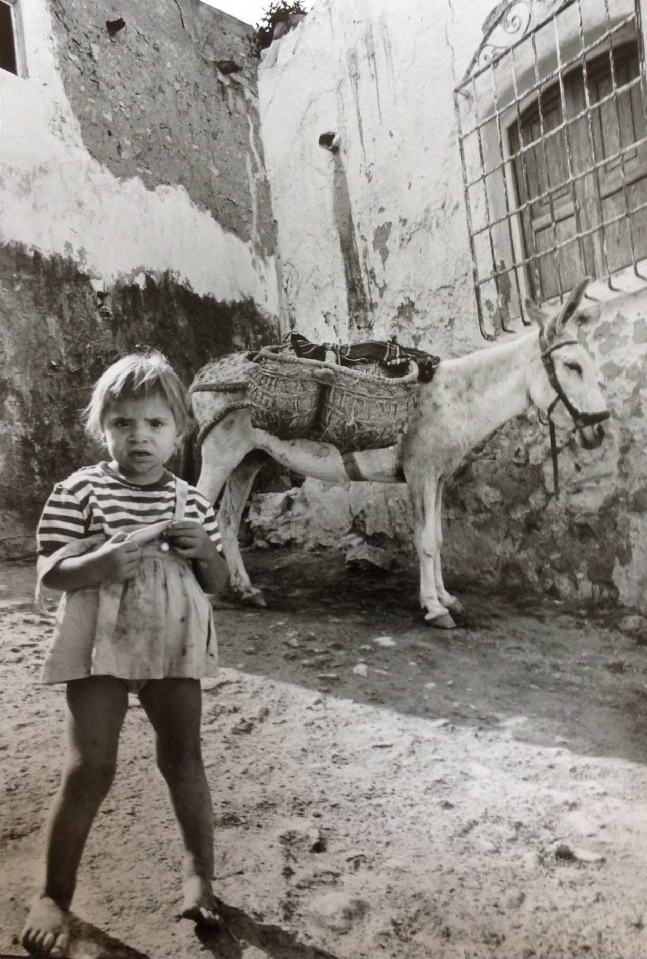 OFF REC VOL DIAMANTINO--Gérard Cumond1 56x73-1-011