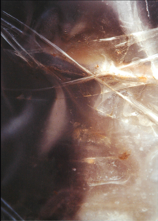 OFF REC VOL DIAMANTINO--Olivier Lagadec 80x120-019