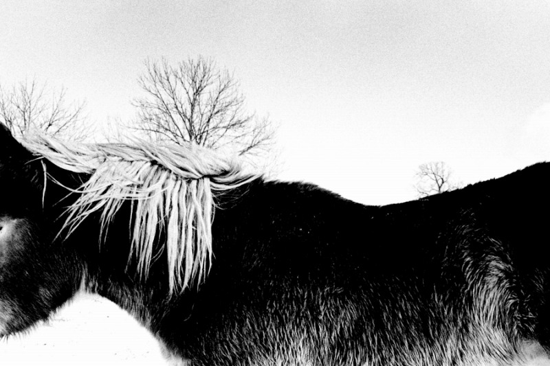 REC12_Hajime KIMURA - Tracks