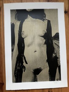 REC50_KURAMA SILK TSAI-GOLD-LR