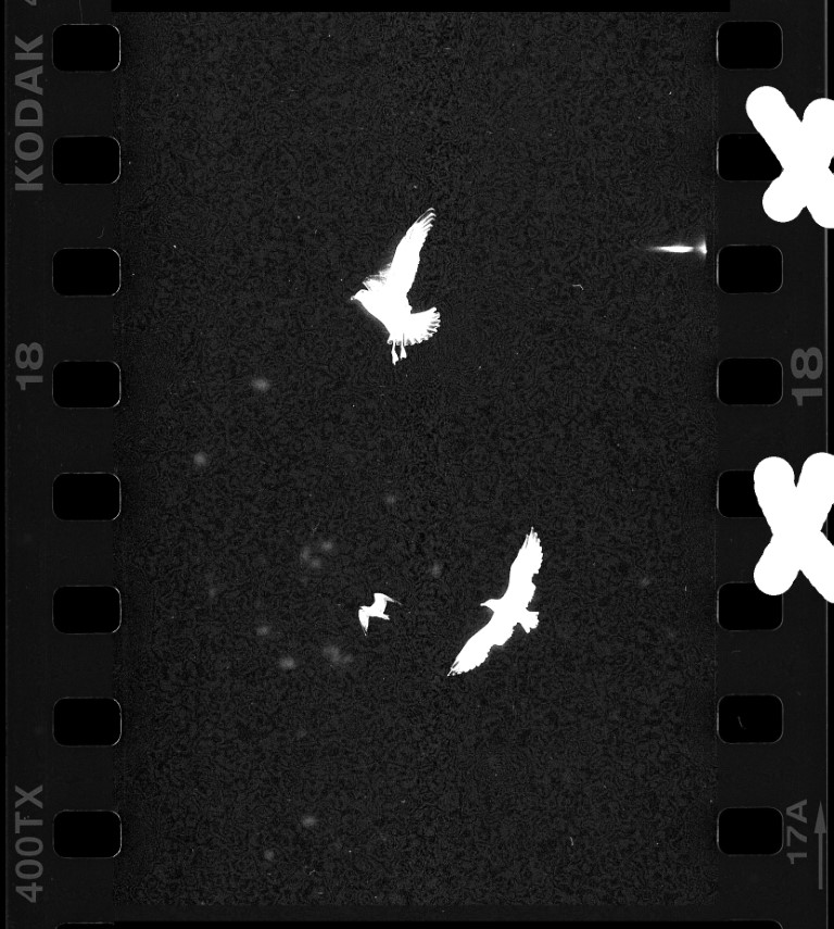 VOL 15-GILLES-17182_K35_Ist_0914_bande1_027