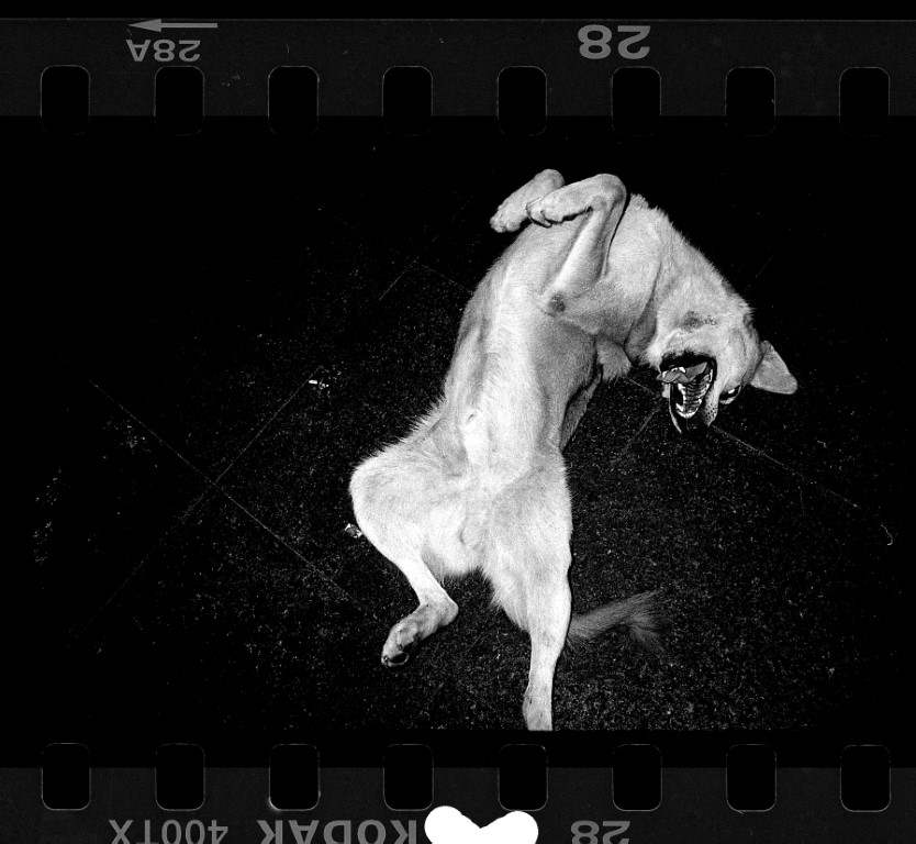 VOL 15-GILLES-17184_T3_Ist_0914_028_029