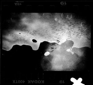 VOL 15-GILLES-17242_FJS_Ist_0914_019_086