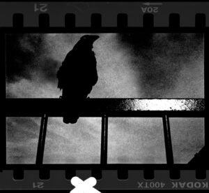 VOL 15-GILLES-17277_FJS_Ist_0914_021_001