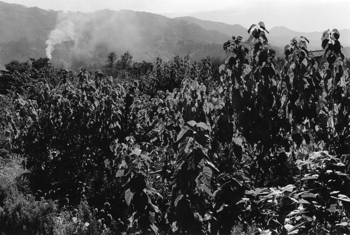 VOL 19-DISTANCE ONAKA-002