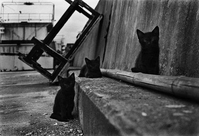 VOL 19- ONAKA-Umimachi-03